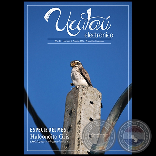 URUTAÚ ELECTRÓNICO - NÚMERO 06 - AÑO 14 - AGOSTO 2016